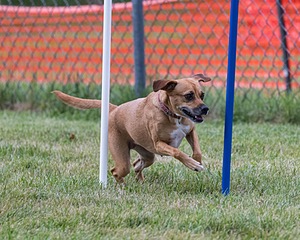 20200819-2841.jpg