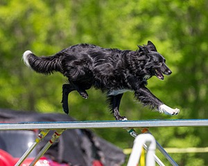 20170520-NEAT-0914.jpg
