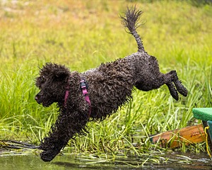 20220911-JWD-0035.jpg