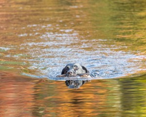 20201011-OOC-0004.jpg