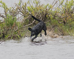 20080531-HRW-0558.jpg