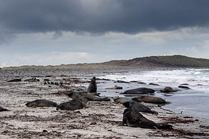 20191217-0108.jpg