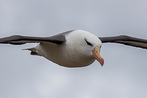 20191211-0561.jpg