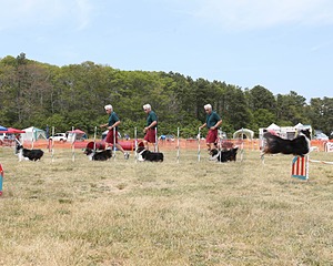 20150612-CCKCMC-0108.jpg