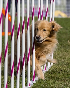 20230916-PVKC-1322.jpg