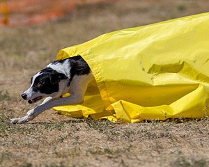 20160619-CCKC-1688.jpg