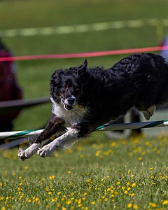 20170520-NEAT-2556.jpg