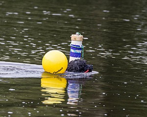 20210912-MWD-0230.jpg
