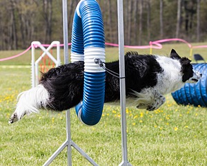20160514-NEAT-1039.jpg