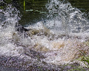 20170716-WCXW-1031.jpg