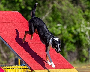 20190615-CCKC-0073.jpg