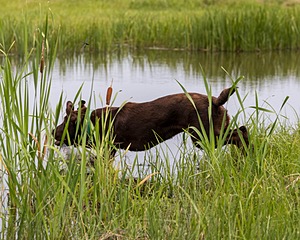 20220724-JHW-0127.jpg