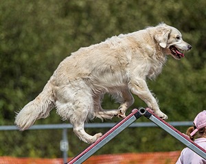 20200819-2441.jpg
