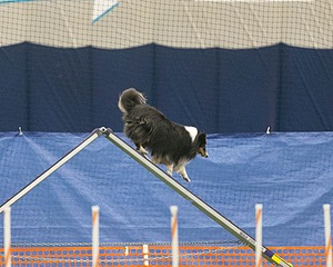 20150321-LEAP-1296.jpg