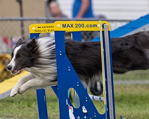 20230917-PVKC-2774.jpg