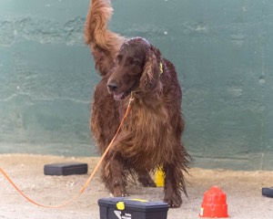 20260718-NSKC-0710.jpg