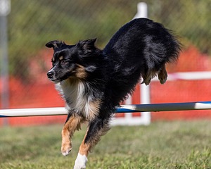 20200819-2596.jpg
