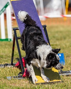 20180617-0282.jpg