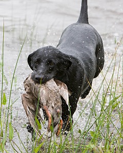 20080531-HRW-0842.jpg