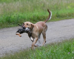 20130713-MHB2-0335.jpg