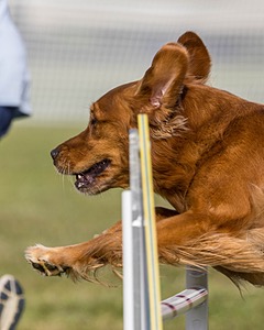 20230916-PVKC-1440.jpg