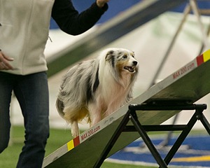 20150321-LEAP-1530.jpg