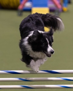 Breeze Schunk