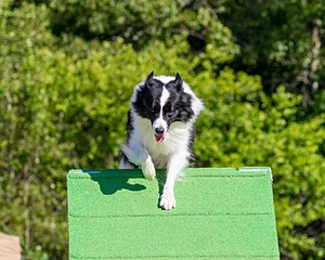 20160619-CCKC-0209.jpg