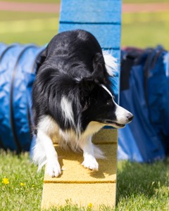 20160514-NEAT-1138.jpg