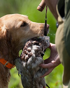 20080601-SRW-1082.jpg