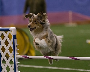 20150321-LEAP-0290.jpg