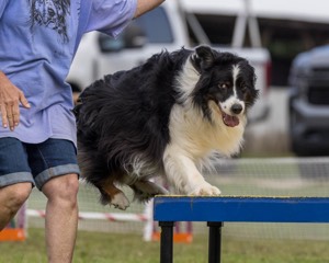 20230917-PVKC-2784.jpg