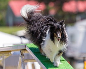 20180617-1376.jpg