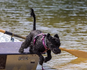 Scuppers Nutting