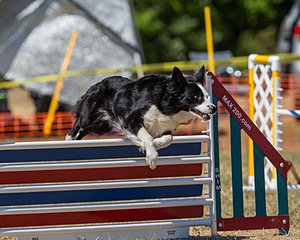 20160619-CCKC-1442.jpg