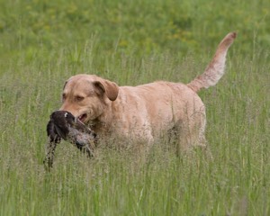 20080531-HRL-0011.jpg