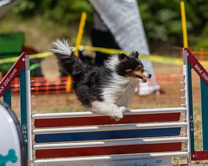 20160619-CCKC-1269.jpg