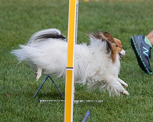 20200819-0068.jpg