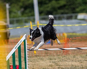 20160619-CCKC-1335.jpg