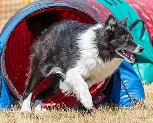 20160619-CCKC-0565.jpg
