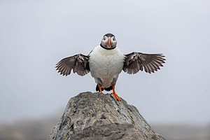 20230711-1727.jpg