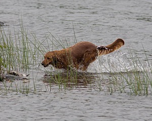 20080531-HRW-0241.jpg