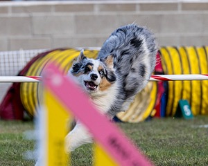20230916-PVKC-1718.jpg