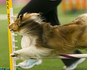 20150321-LEAP-1549.jpg