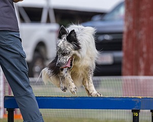 20230917-PVKC-2812.jpg