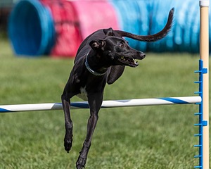 20200819-2413.jpg