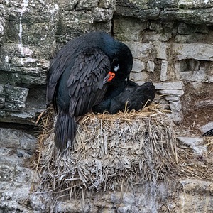20191214-0333.jpg