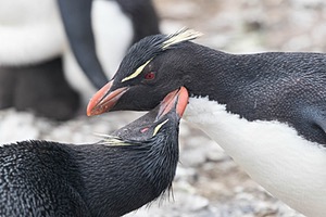 20191215-0110.jpg