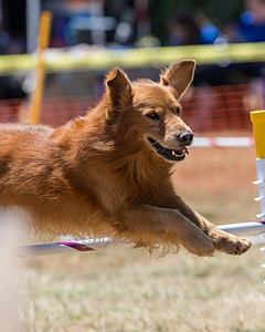 20160618-CCKC-1480.jpg