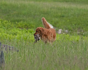 20080531-HRL-0046.jpg